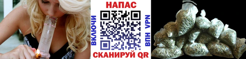Бошки марихуана планчик  наркота  Красноперекопск 